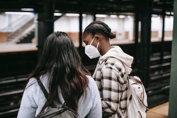 Pet-Friendly Transit: A Must for Furry Friends