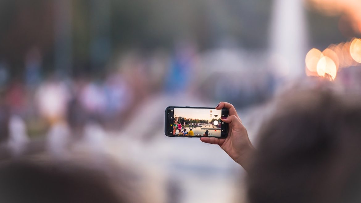 Traveling with Fido: The Importance of Mental Stimulation