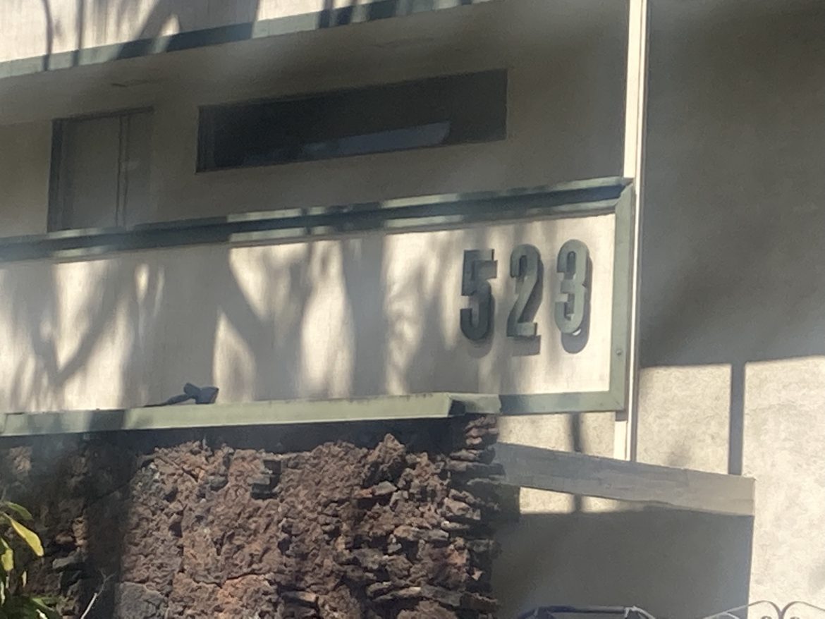 Apartment Pet Adaptation: Tips for a Smooth Transition