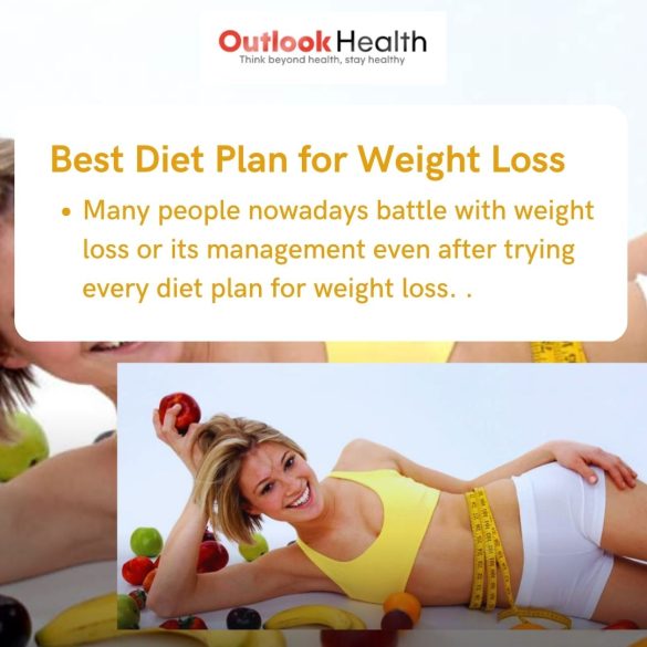 Chew on This: Top Diets for Dental-Compromised Pets