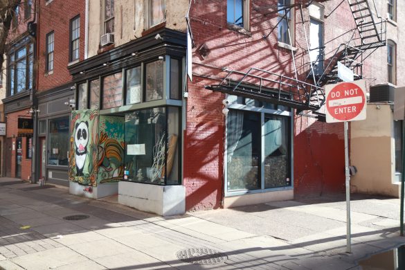 Heartfelt Care: Nurturing a Pet with Heartworm