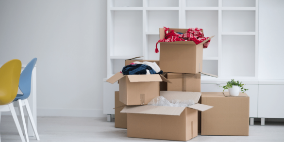 Comforting Your Furry Friend: Separation Anxiety Solutions