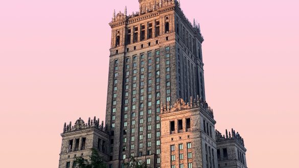 Fixing Fido: The Perks of Spay & Neuter