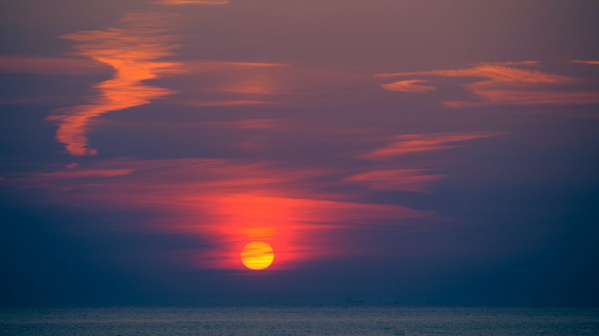 Pawsitive Transitions: Helping Pets Adjust.