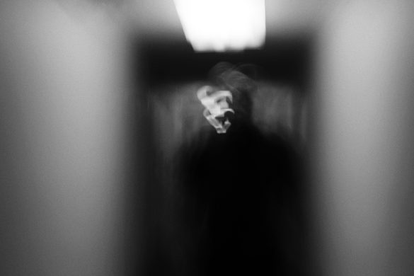 Cool, Calm, and Collected: Training Your Pet for Stressful Situations