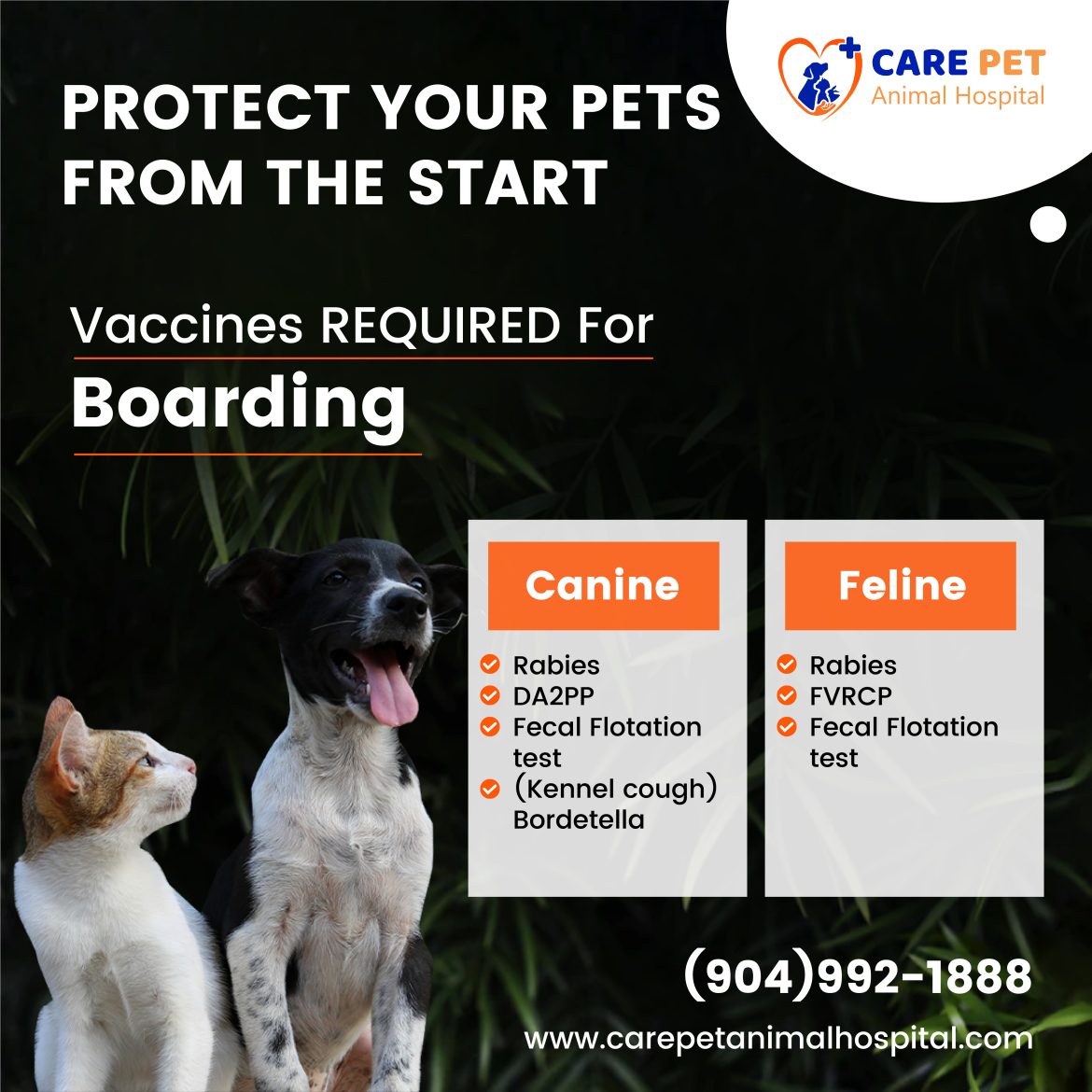 shield-your-furry-friend-the-vitality-of-pet-vaccinations.jpg Shield Your Furry Friend: The Vitality of Pet Vaccinations