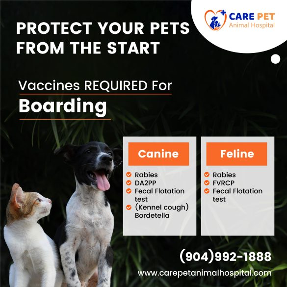 Shield Your Furry Friend: The Vitality of Pet Vaccinations