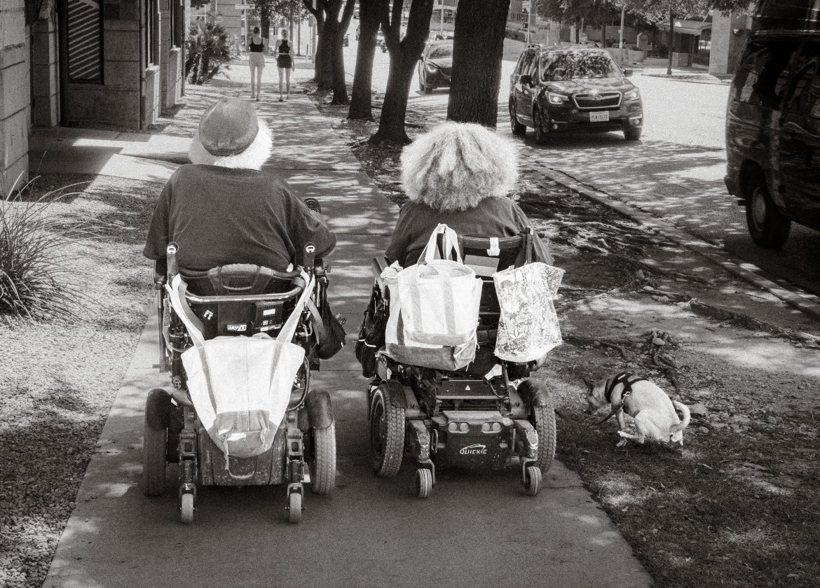 senior-pet-travel-tips-for-a-pawsome-journey.jpg Senior Pet Travel: Tips for a Pawsome Journey