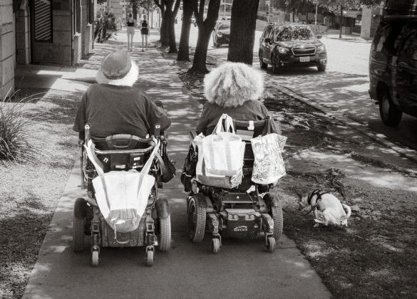 Senior Pet Travel: Tips for a Pawsome Journey