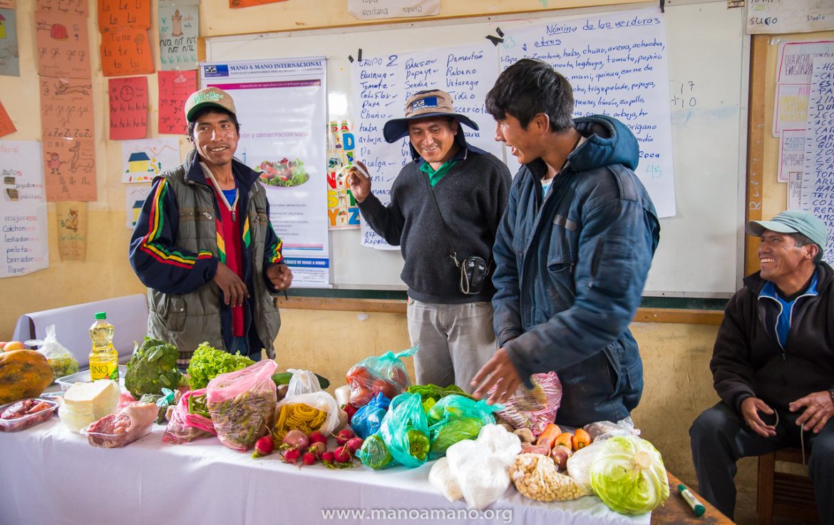 Feeding Fido: Why a Varied Diet is Vital