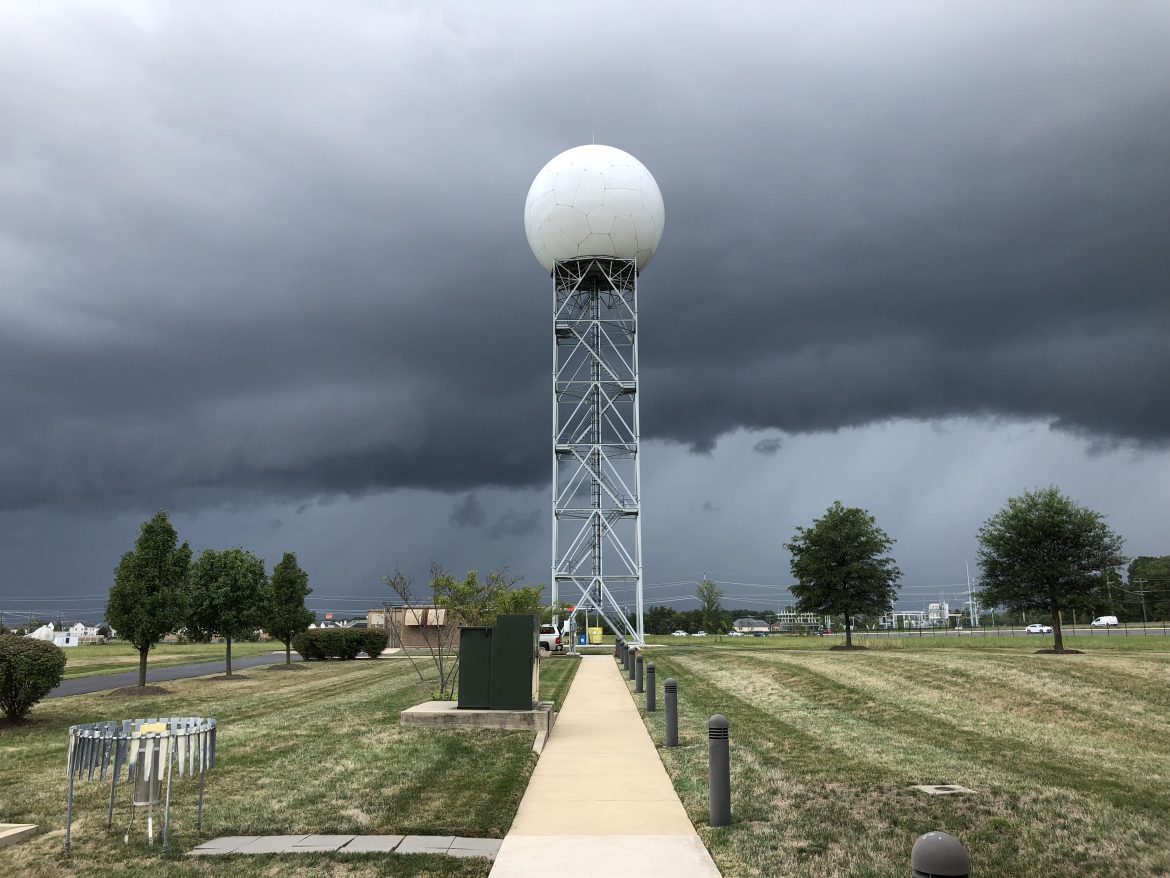Petrified of Thunderstorms? Here’s How to Travel with Your Furry Friend