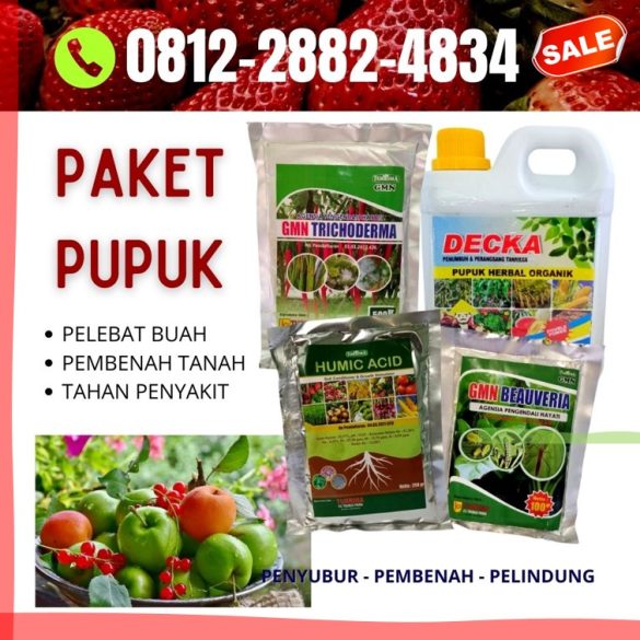 Fly in Comfort: Choosing the Perfect Air Carrier