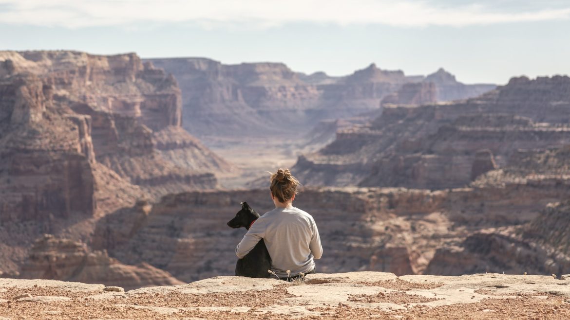 Finding Your Perfect Rural Companion: Choosing the Right Pet Temperament