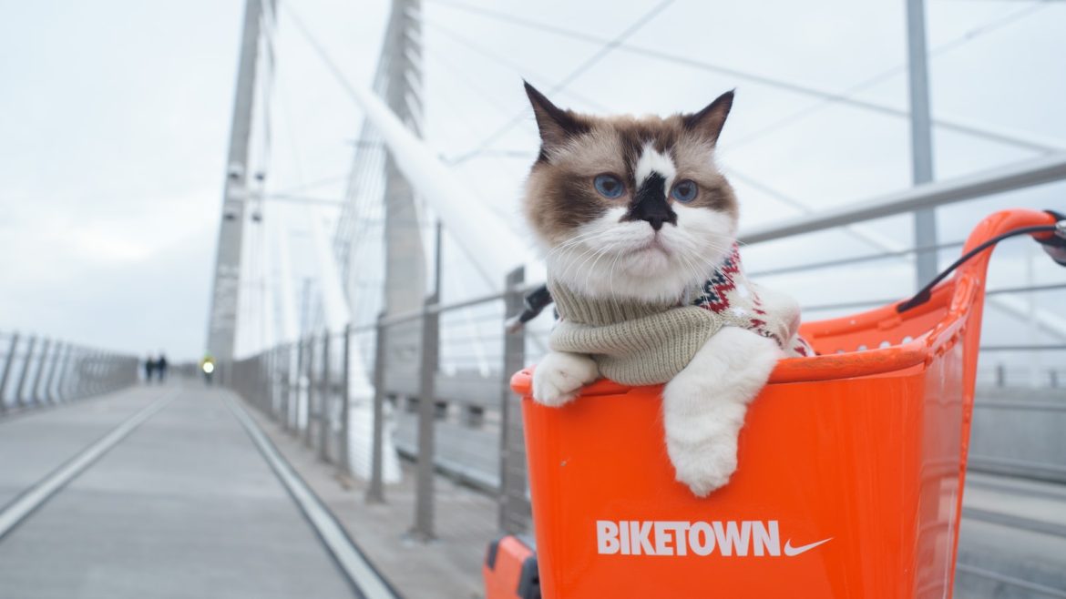 Breathe Easy: Pet Respiratory Health Tips