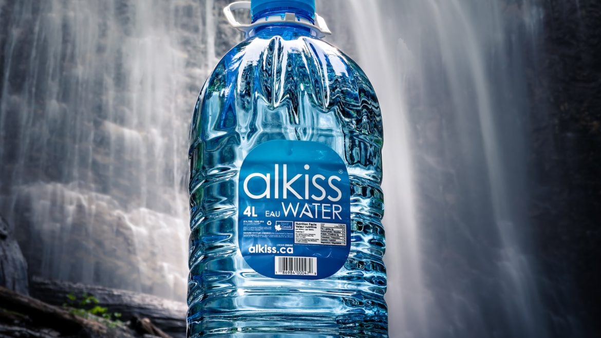 Quenching Your Pet’s Thirst on the Go: The Vitality of Hydration