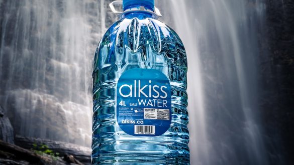 Quenching Your Pet’s Thirst on the Go: The Vitality of Hydration