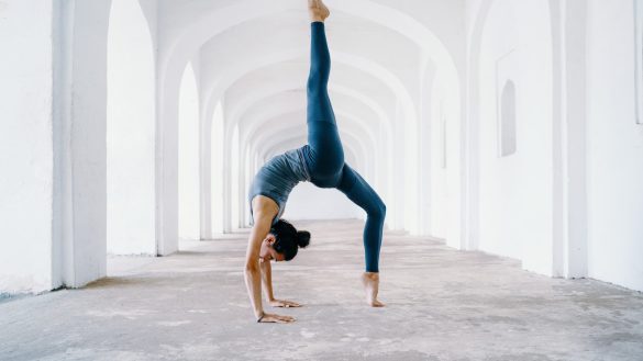 Pawsitively Fit: The Advantages of Exercise for Pets