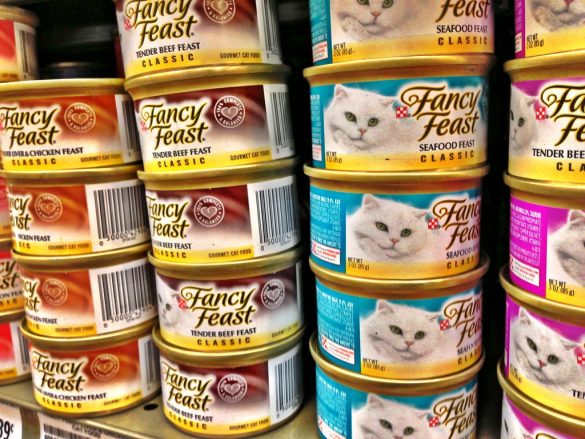 Feeding Feline Friends: Picking the Perfect Cat Food