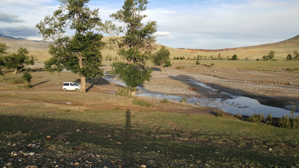 traveling-with-fido-the-importance-of-rest-stops.jpg Traveling with Fido: The Importance of Rest Stops