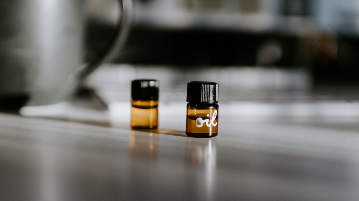 Pet’s Plate Perfection: Essential Nutrients for Balance