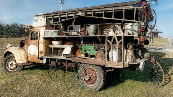 Pet Health Boost: Apple Cider Vinegar Benefits