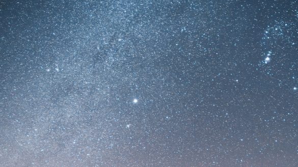 Rescuing with Confidence: Choosing a Reputable Shelter