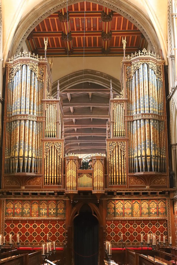 Cool as a Cucumber: Teaching Pets to Stay Calm