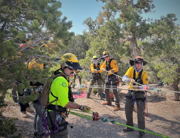 Shape Up Your Pet: The Power of Training for Physical Health