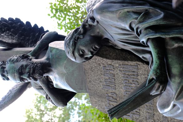 Senior Pet Travel Tips: Smooth Journeys Ahead