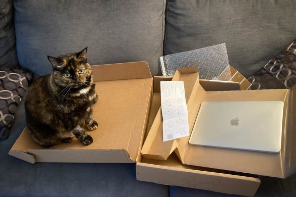 Pee Problems? Spotting & Curing Pet UTIs