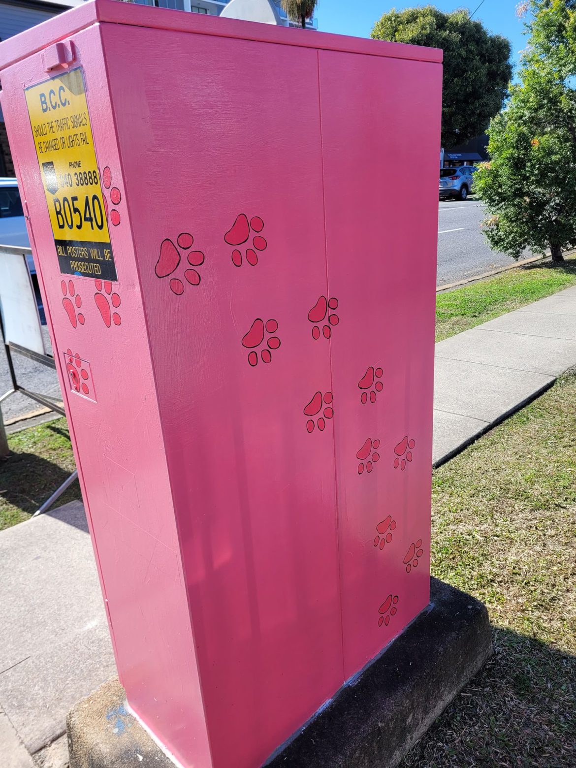 Unleashing Adventure: Picking Pet-Friendly Places