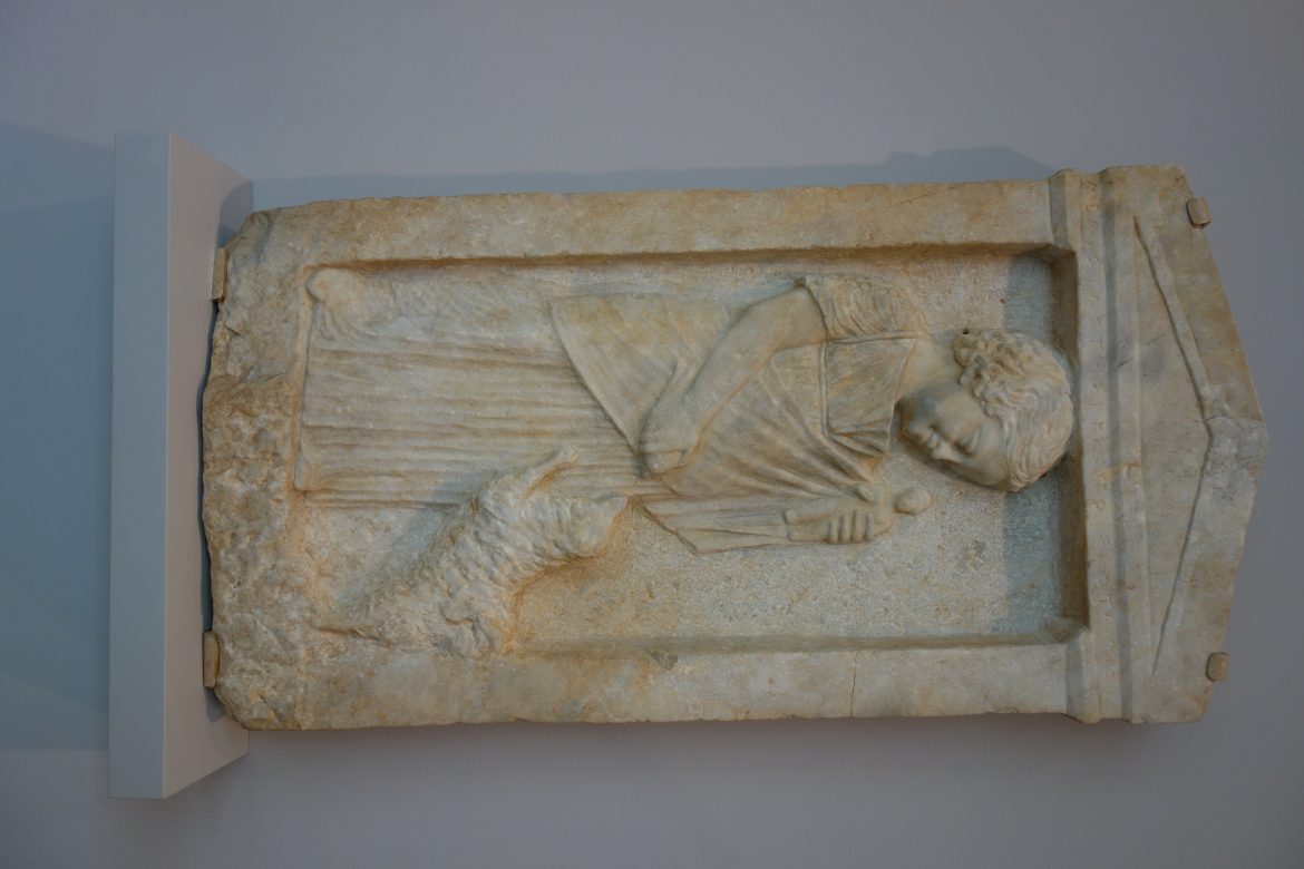 Picking Perfect Pet Playthings: Size & Breed Considerations