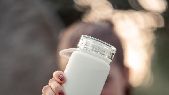 Quenching the Thirst: Why Hydration is Key for Your Pet’s Travel