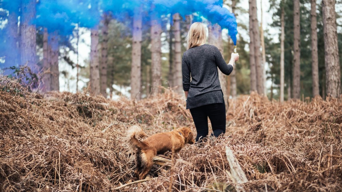 harmony-at-home-introducing-new-pets.jpg Harmony at Home: Introducing New Pets