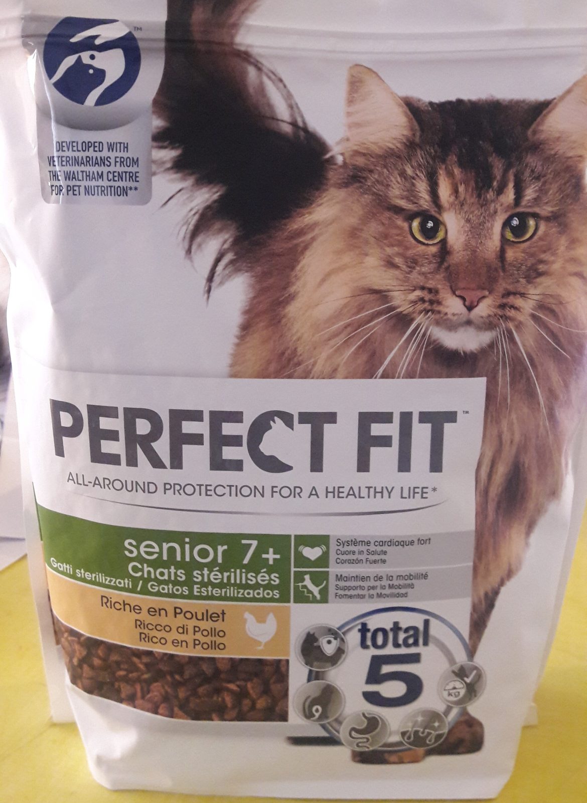 Senior Pet Nutrition: Picking the Perfect Diet