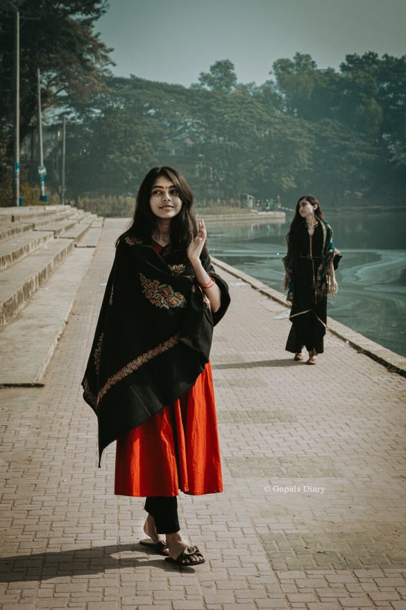 Mastering the Litter Box: Feline Potty Training Tips