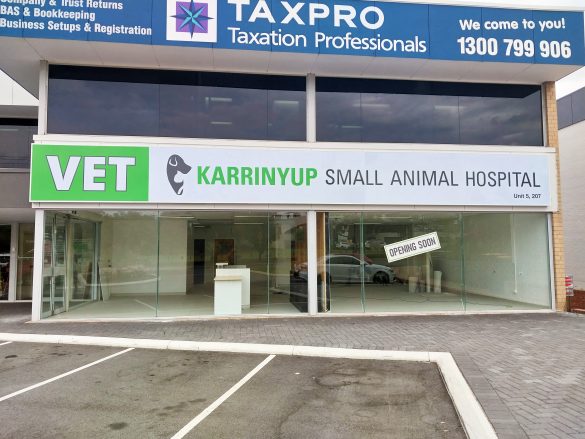 Pet Care 101: Picking the Perfect Vet