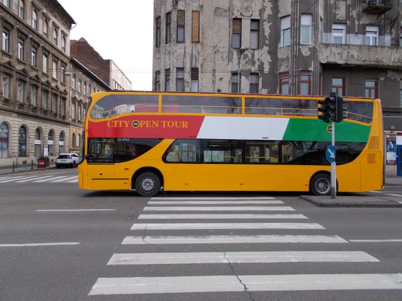 Bus Travel Made Easy: Choosing the Perfect Carrier