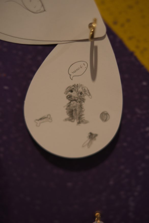 Matching Your Lifestyle: Finding the Perfect Country Pet