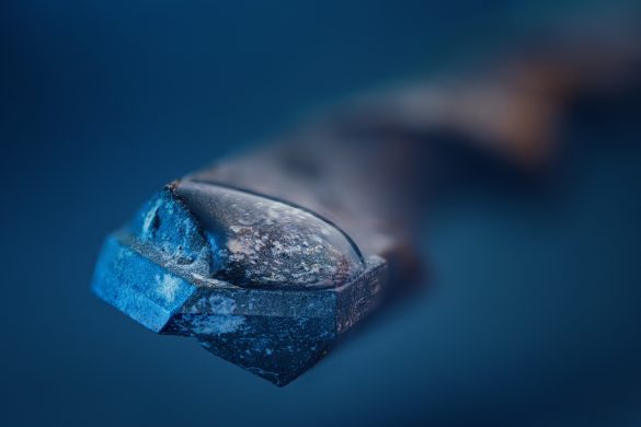 Overcoming Aquaphobia: Pet Travel Tips