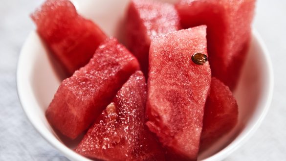 Paw-some Insight: Decoding Pet Food Allergies