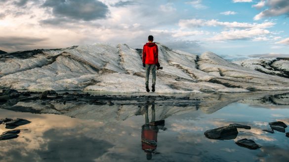 Paws for Thought: Joint-Friendly Travel Tips for Pets