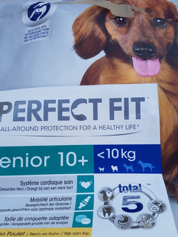 Pet Nutrition 101: Balanced Diets for Beginners