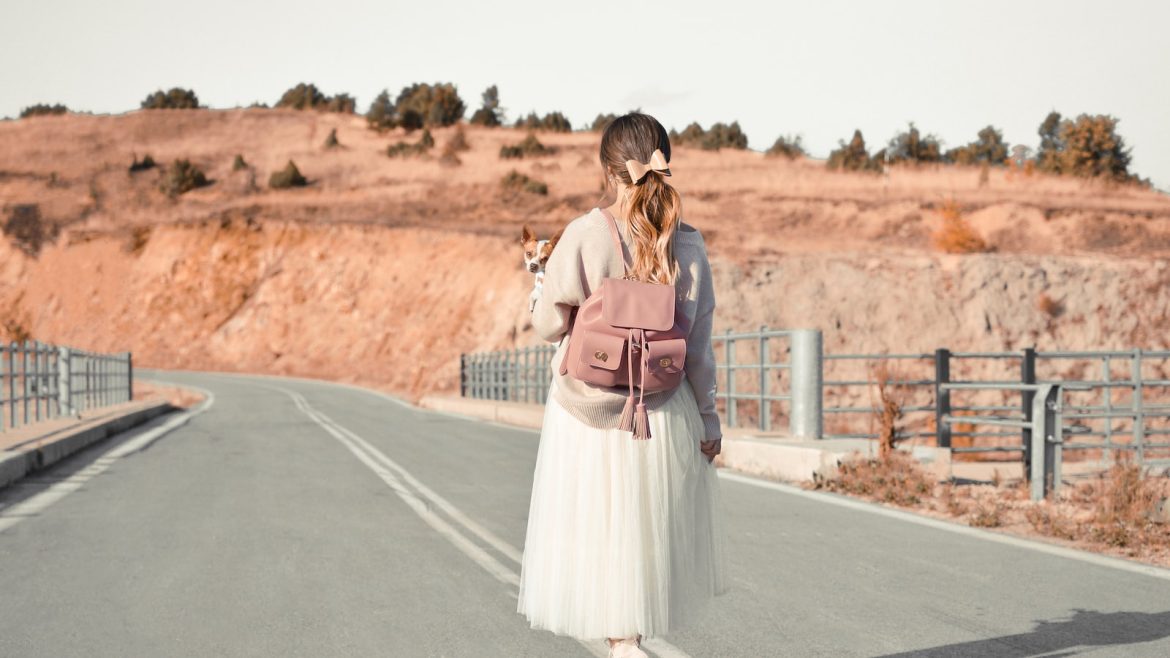 Ramp Up Your Travel Game: Choosing the Perfect Pet Ramp