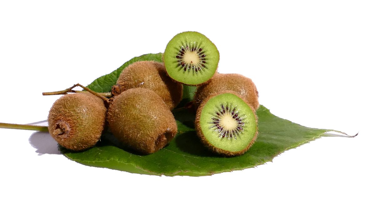 renal-friendly-feasts-selecting-diets-for-pets-with-kidney-disease.jpg Renal-Friendly Feasts: Selecting Diets for Pets with Kidney Disease