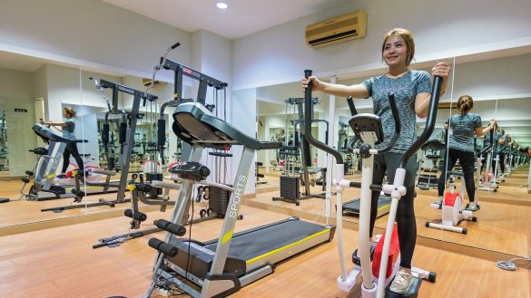 Potty-Perfect Pooch: Tips for Successful Training