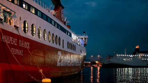 Pawsitively Healthy: Low-Sodium Diets for Heart-Healthy Pets