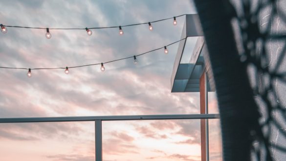 Pearly Whites: Expert Tips for Pet Dental Care