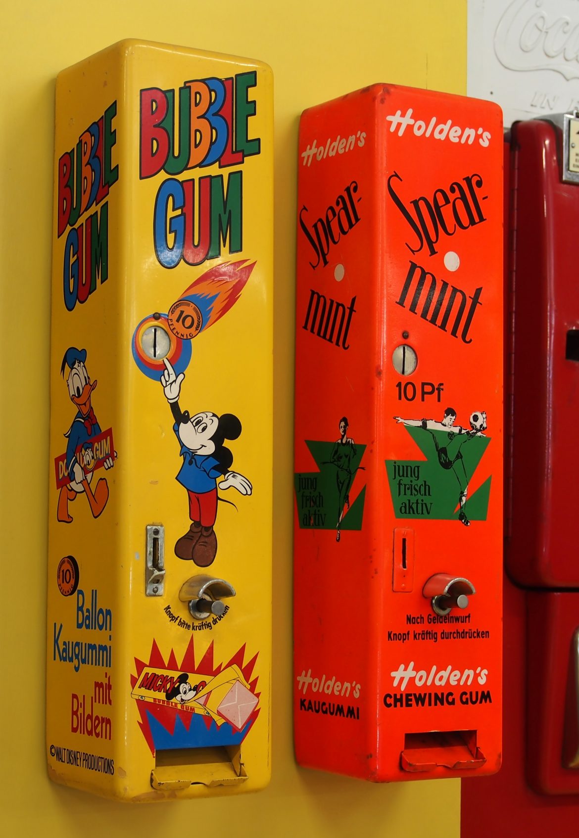 Furniture-Friendly Fido: Tips to Stop Chewing