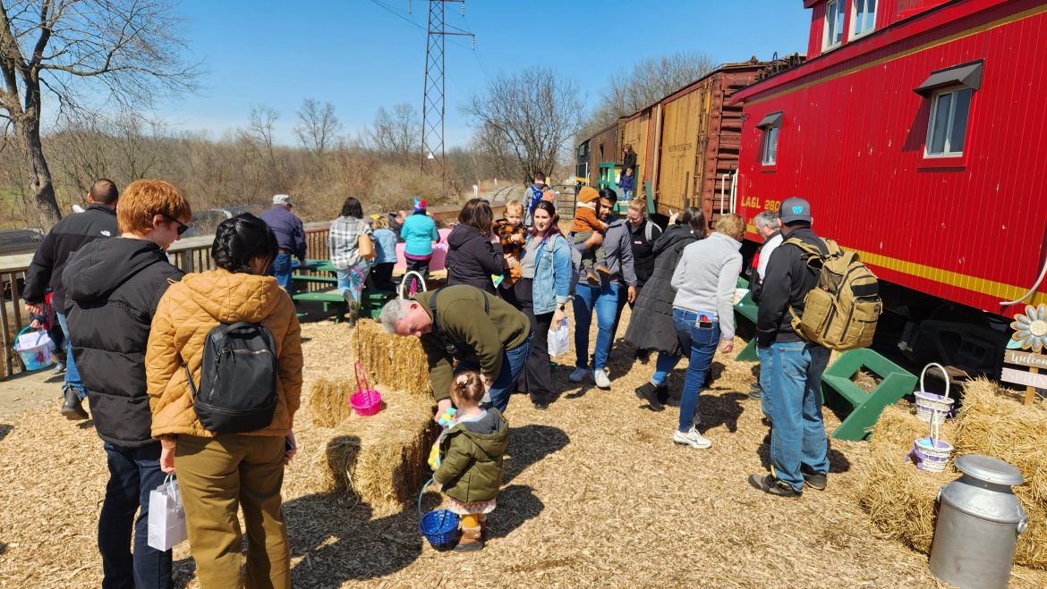 From Service to Serenity: The Perks of Adopting a Trained Pet